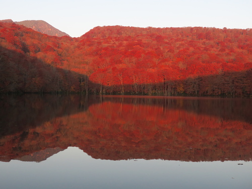 蔦沼の紅葉 | 東北環境局 | 環境省